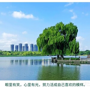 请输入相册名称