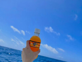 今天好像是我生日……