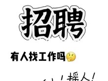 招聘招聘招聘