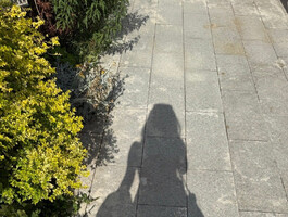 有奖征集网名一枚～