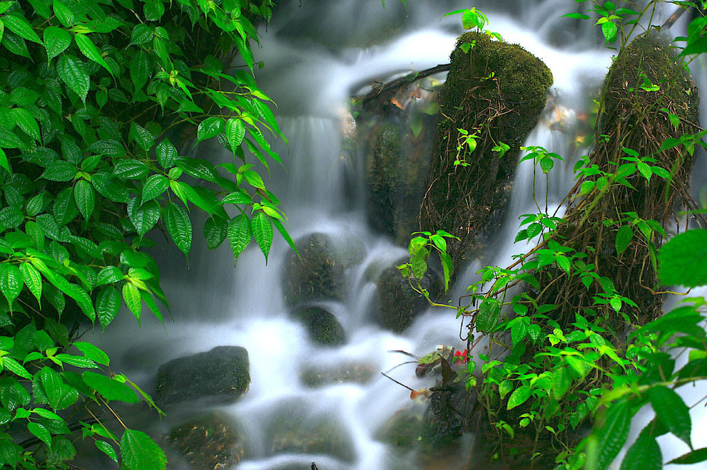 风景2.jpg