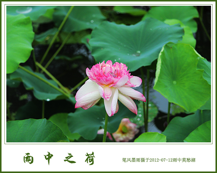 20120712163224321-231536.jpg