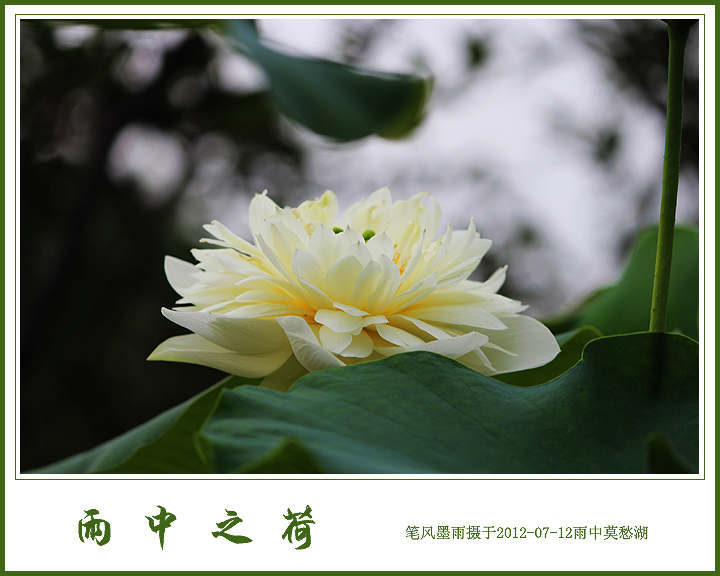 20120712163308712-231536.jpg