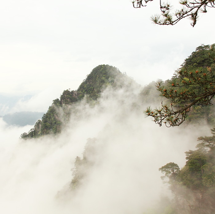 201105072120073861-2336799.jpg
