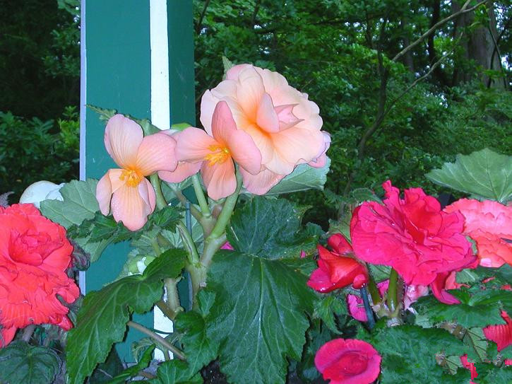 05.jpg
