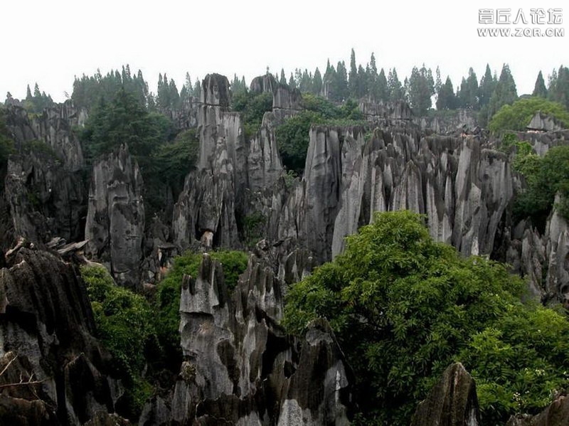 风景1.jpg