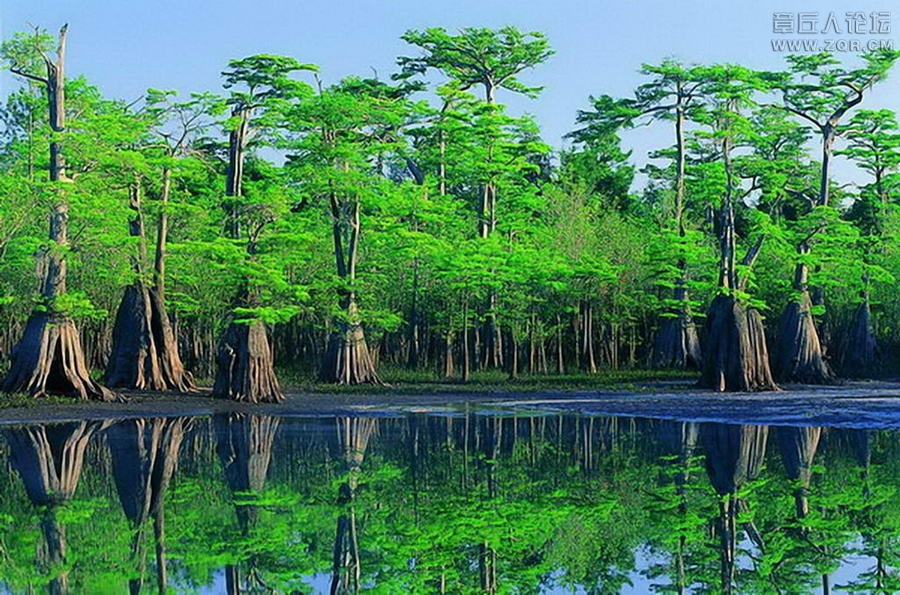 风景3.jpg