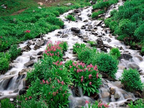 风景7.jpg
