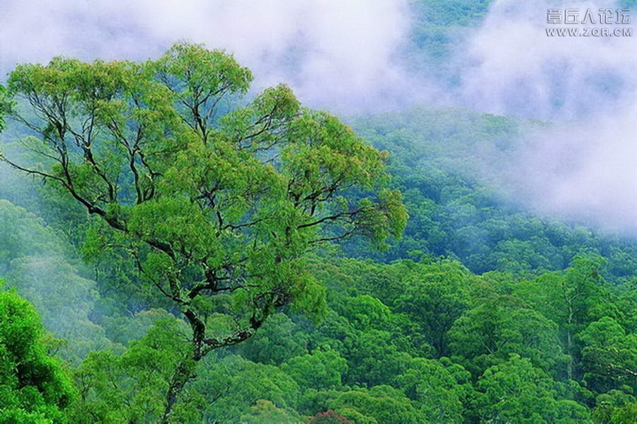 风景11.jpg