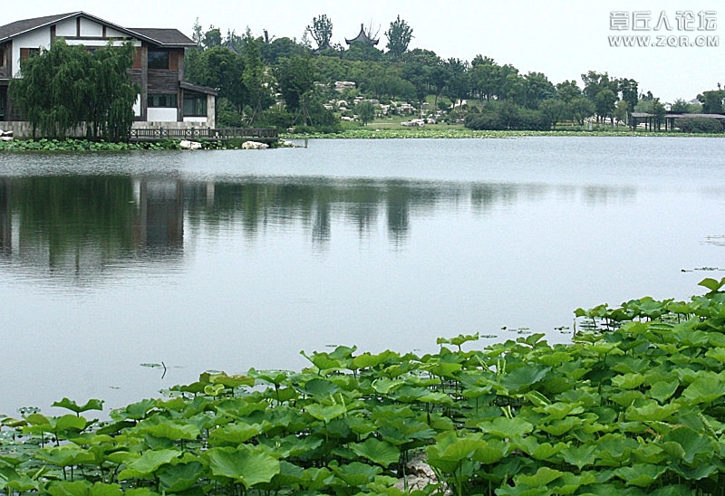 201209071955212811-2382637.jpg