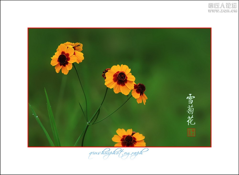 风景4.jpg