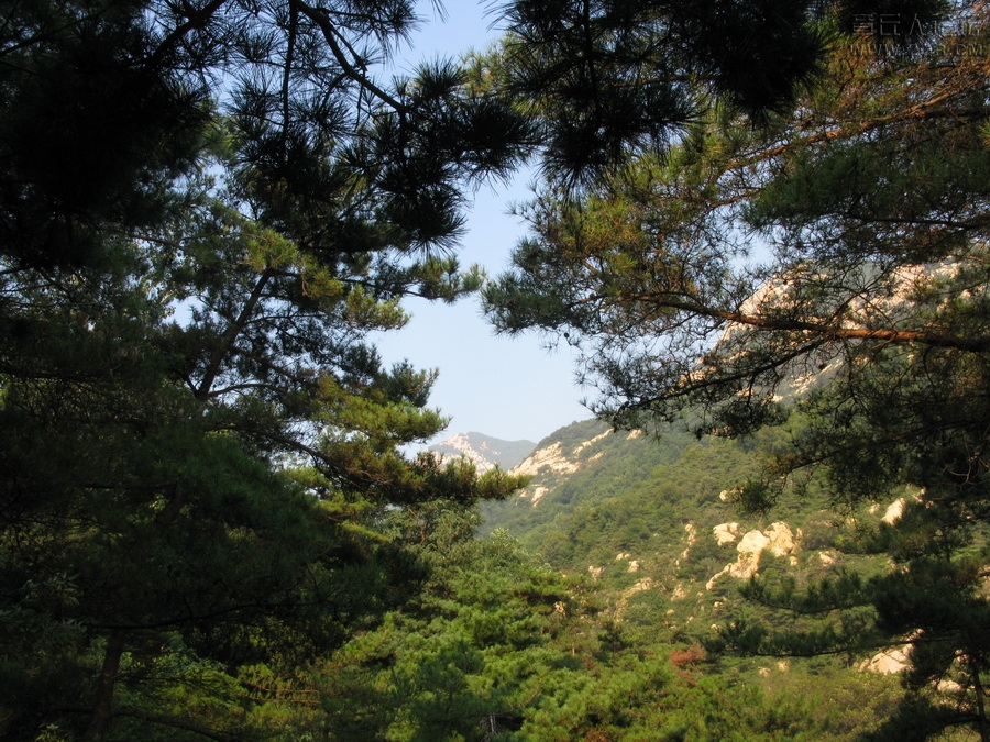 IMG_7526_调整大小.JPG