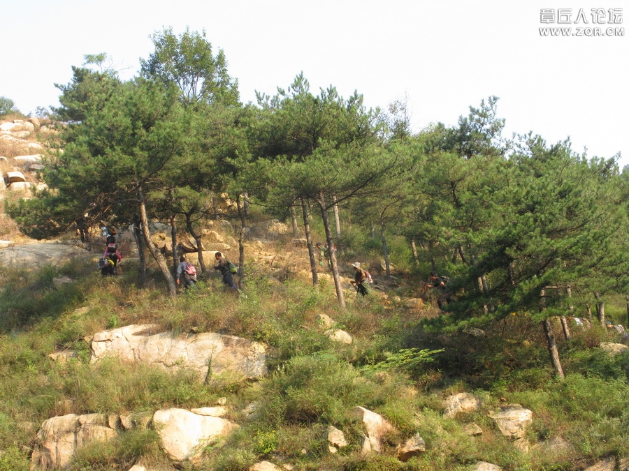 IMG_7528_调整大小.JPG