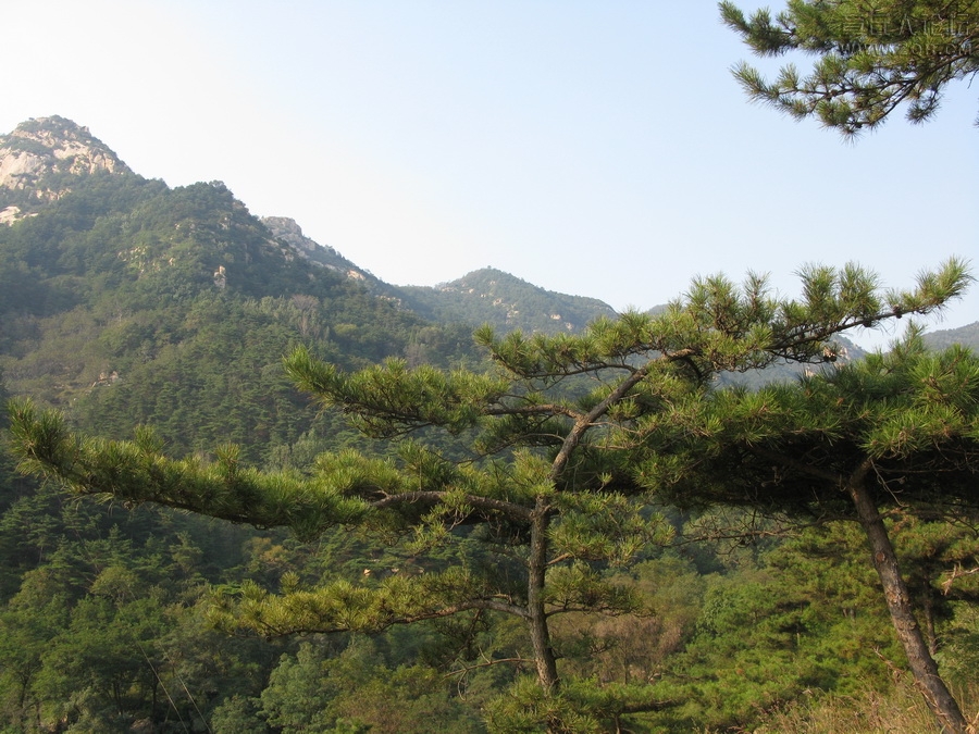 IMG_7536_调整大小.JPG