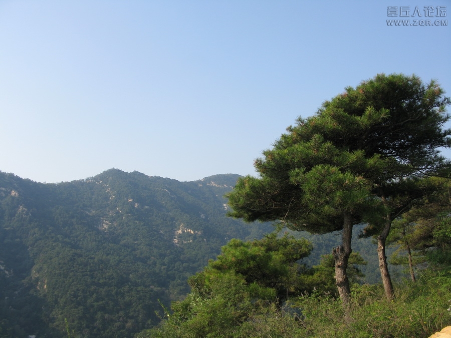 IMG_7576_调整大小.JPG
