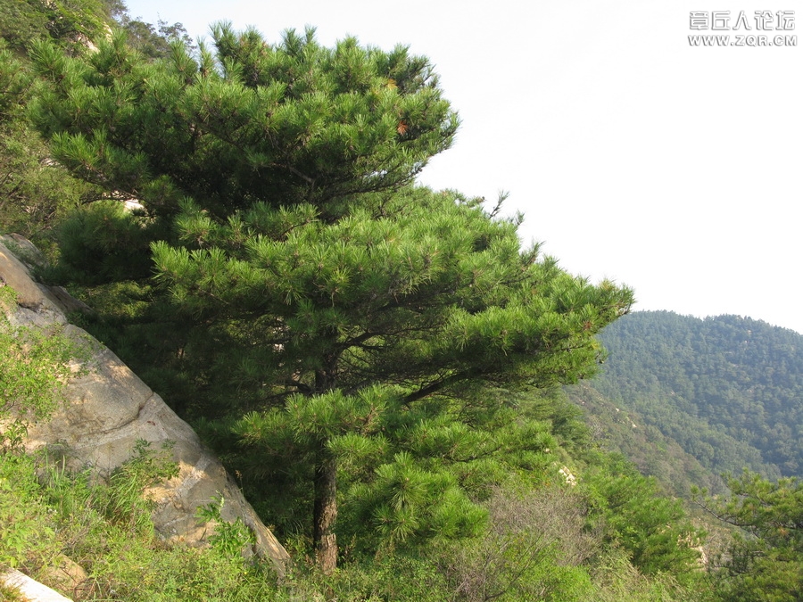 IMG_7583_调整大小.JPG