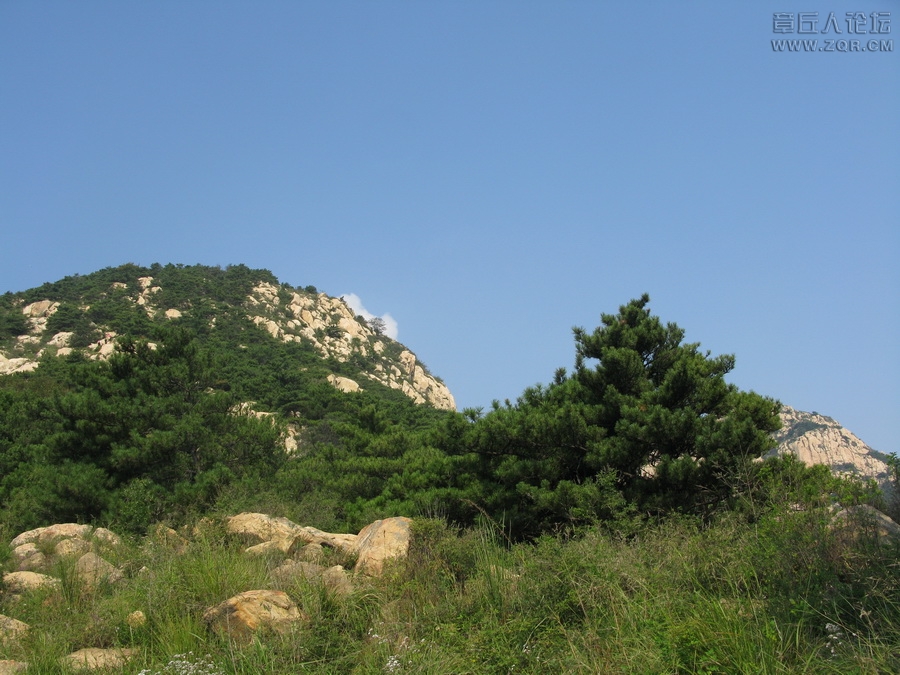 IMG_7593_调整大小.JPG