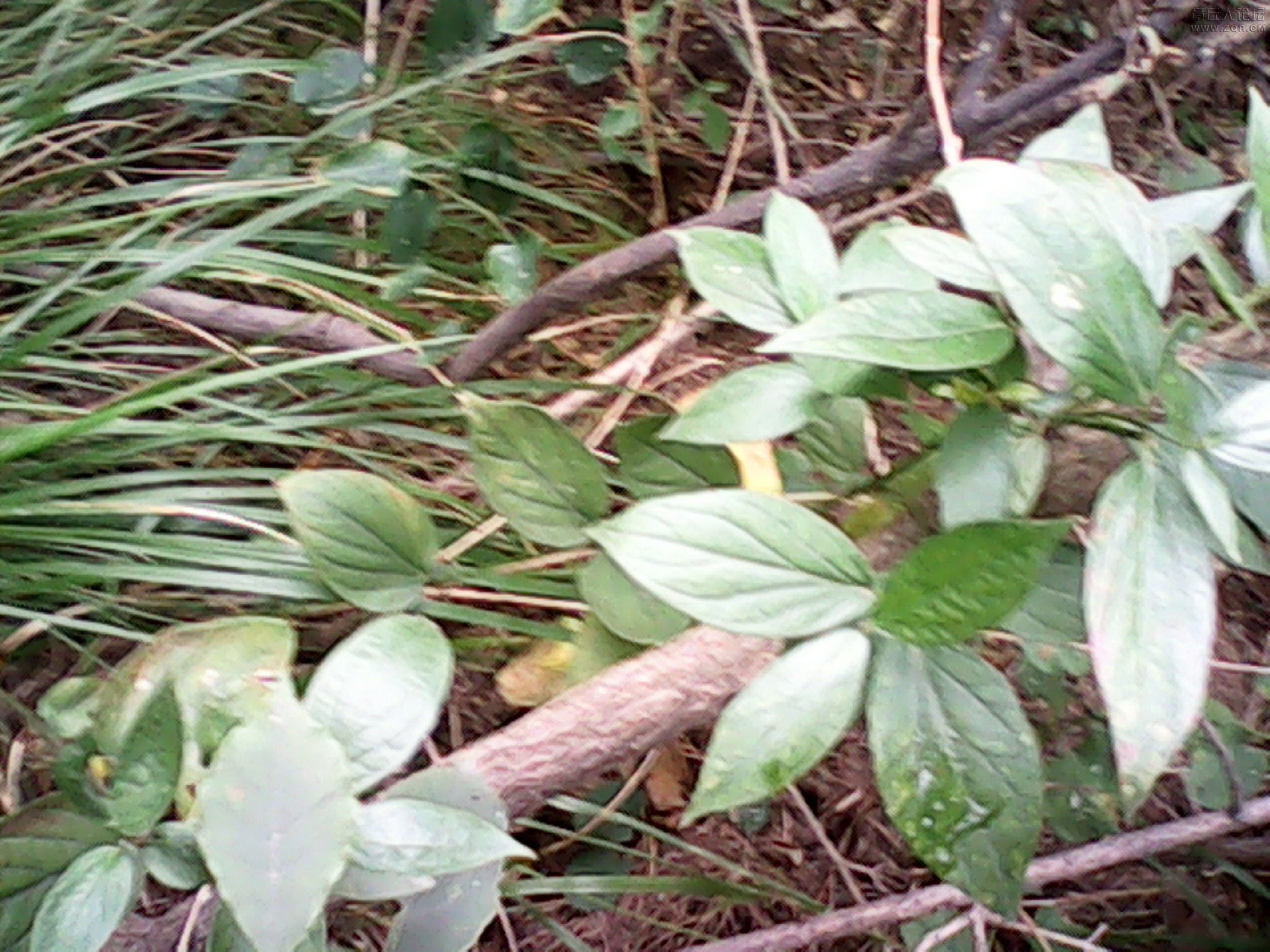 IMG_20120915_120637.jpg