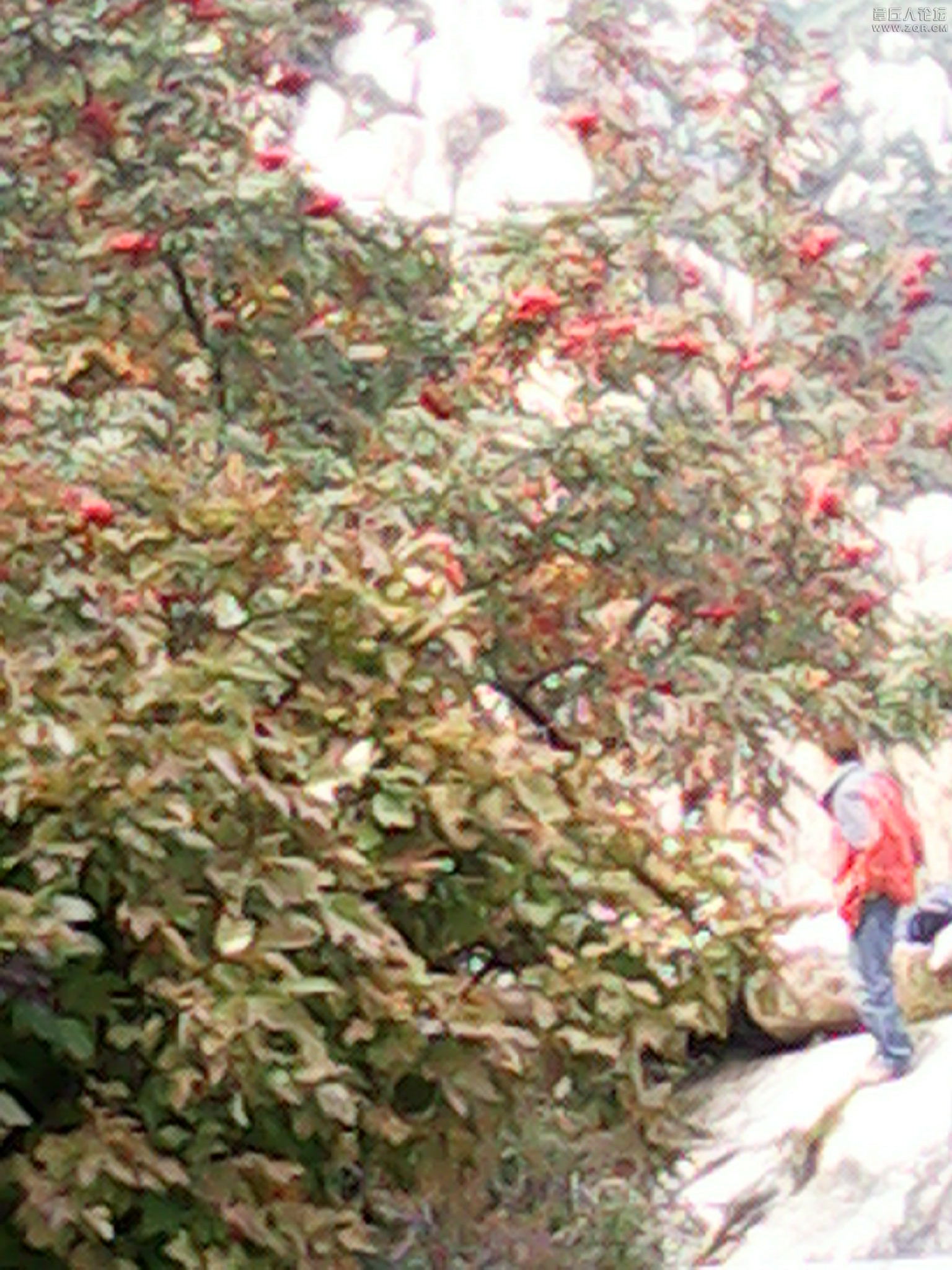 IMG_20120915_121801.jpg