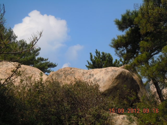 照片 819.jpg