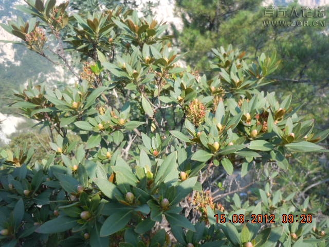 照片 827.jpg