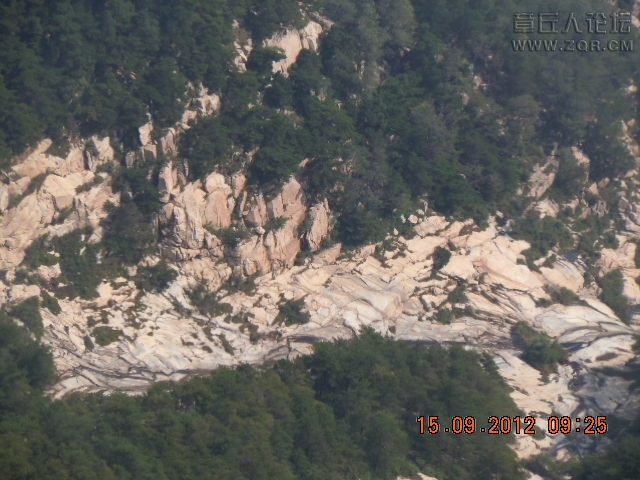 照片 830.jpg