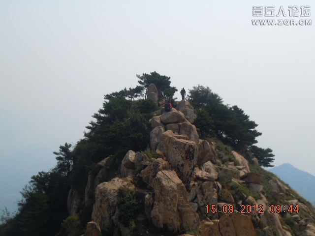 照片 845.jpg