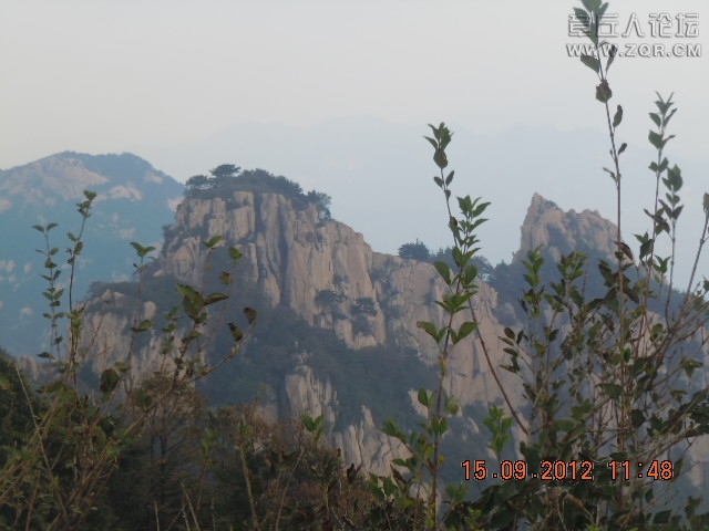 照片 884.jpg
