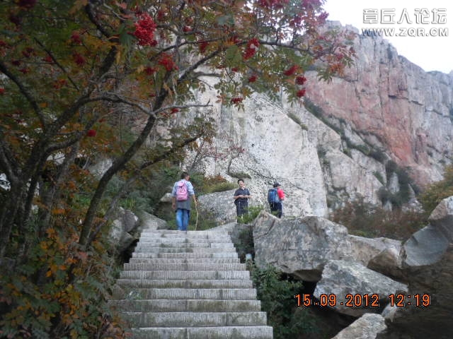 照片 896.jpg
