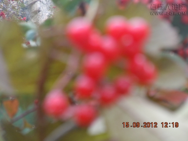 照片 897.jpg