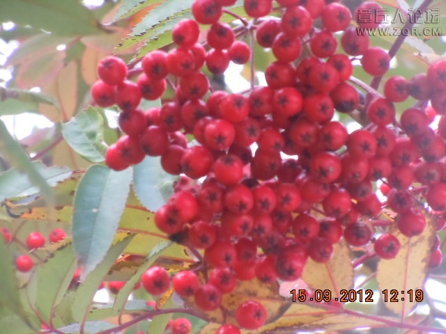 照片 898.jpg
