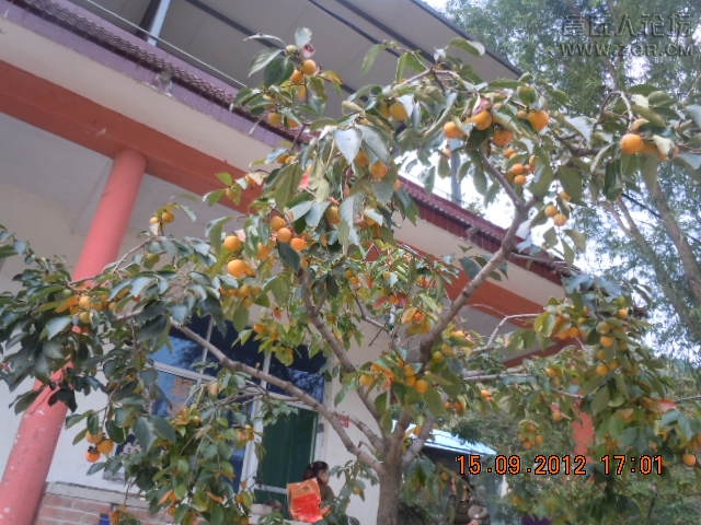 照片 924.jpg