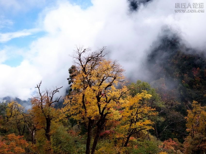 风景1.jpg