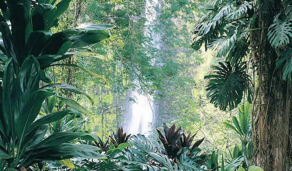 风景7.jpg