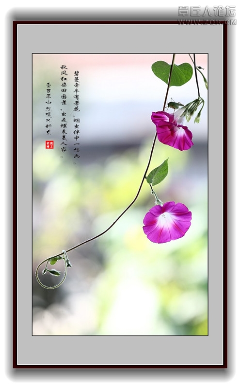 风景11.jpg