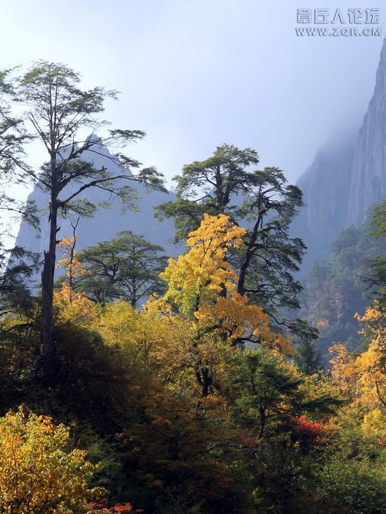 风景7.jpg