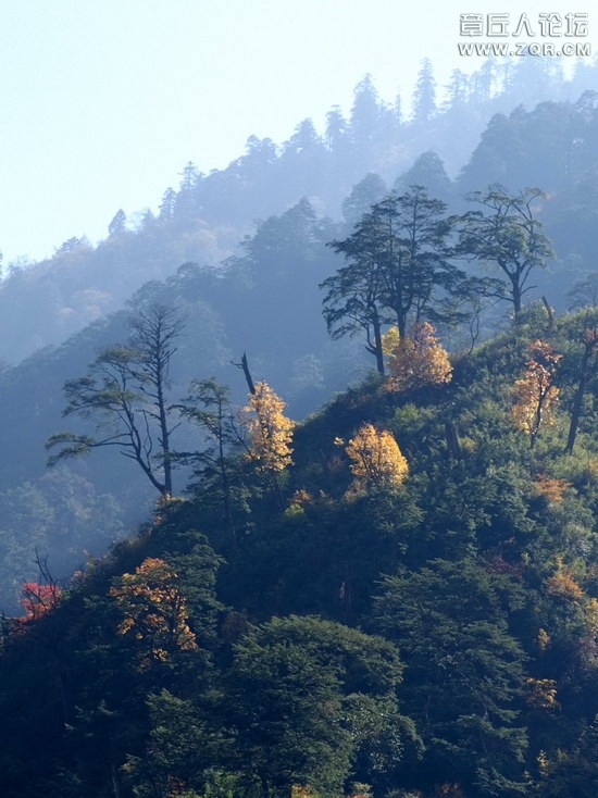 风景9.jpg