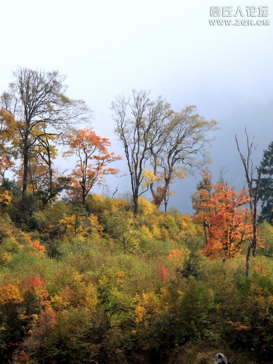 风景10.jpg