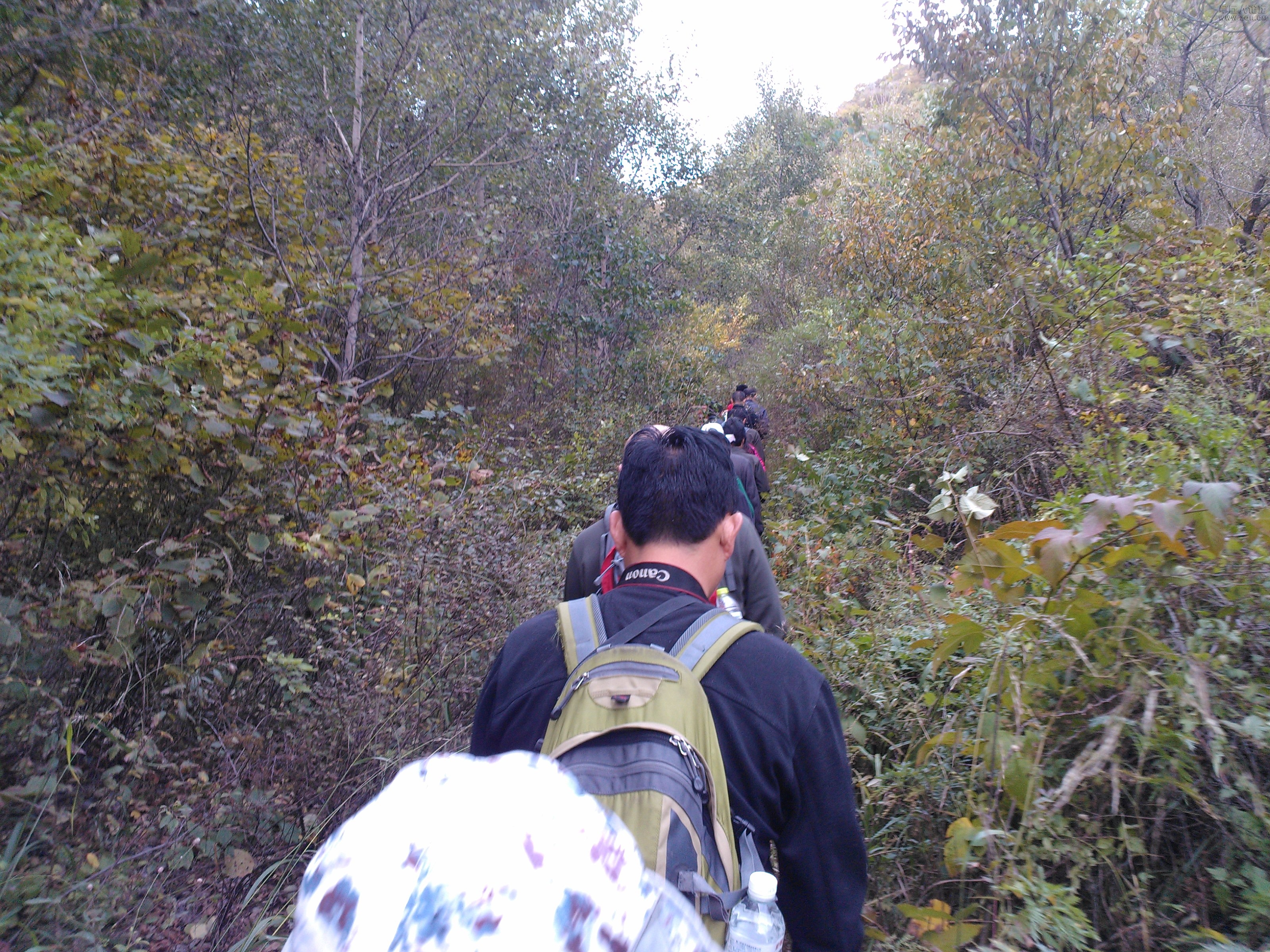 IMG20121003073204.jpg