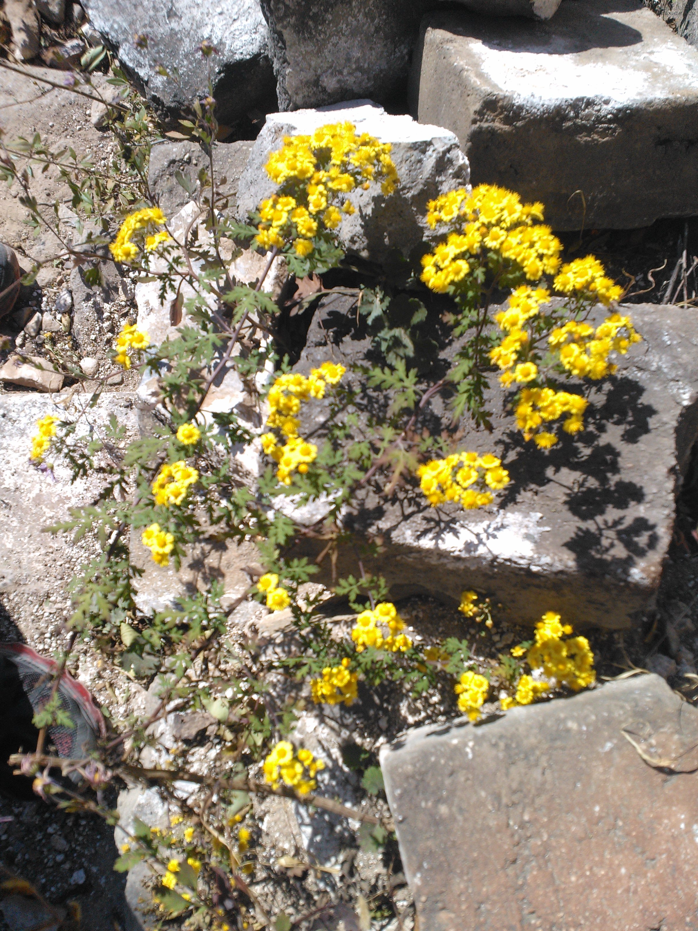 IMG20121003145641.jpg