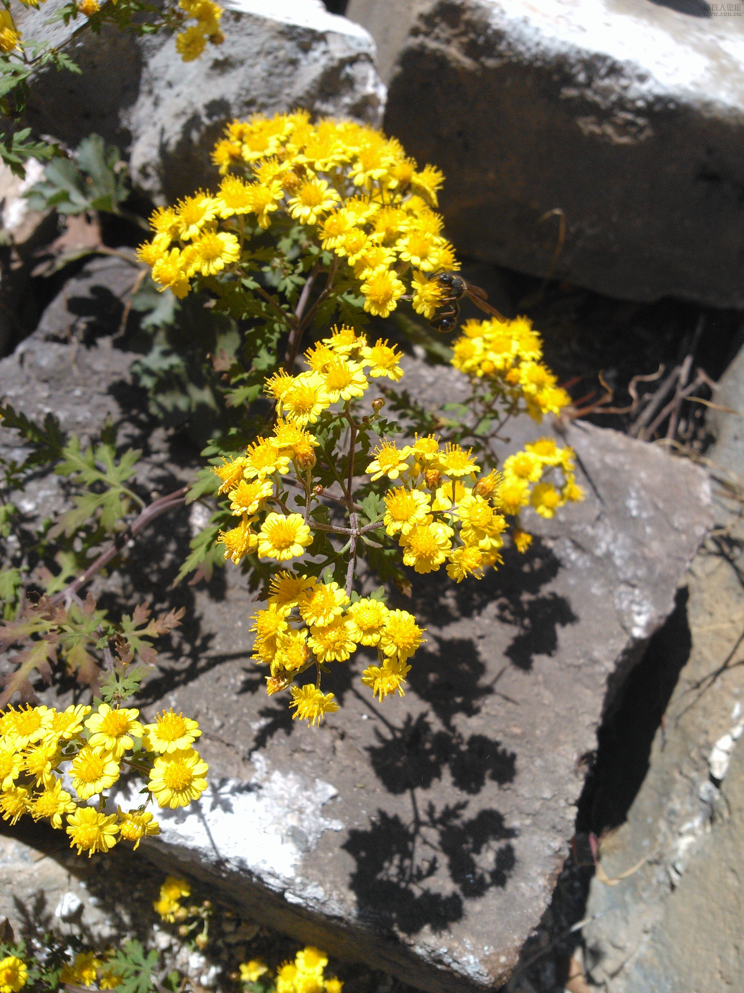 IMG20121003145647.jpg