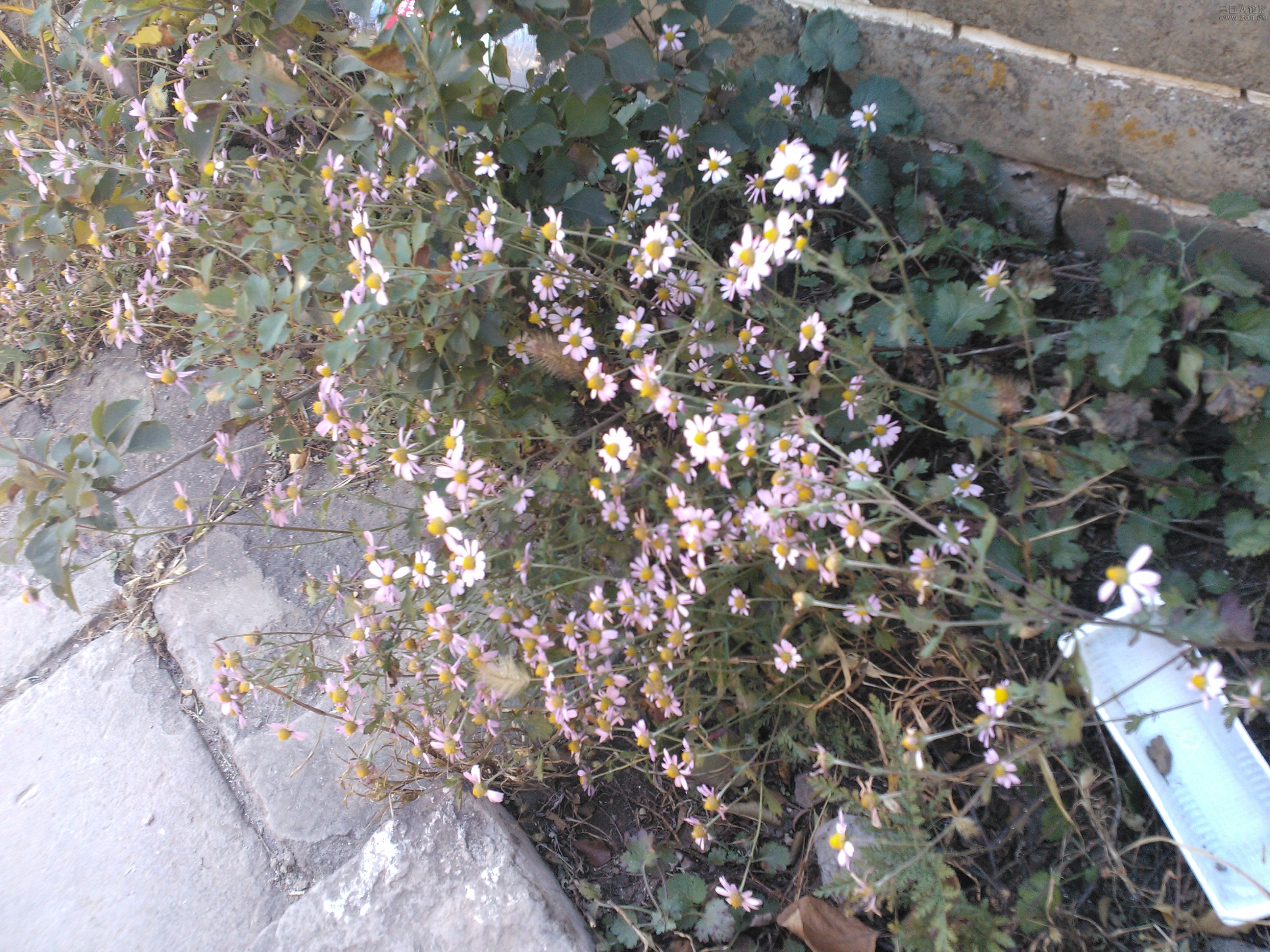 IMG20121003150503.jpg