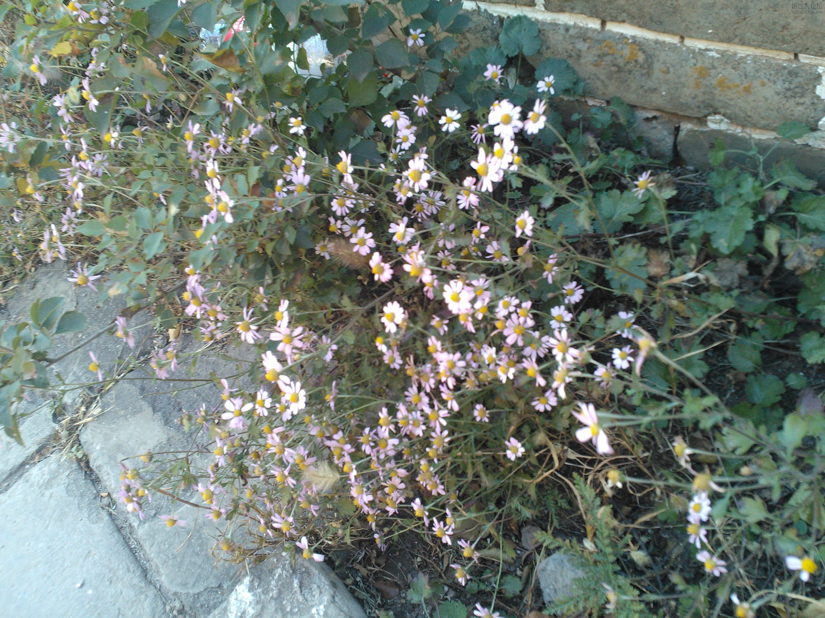 IMG20121003150511.jpg