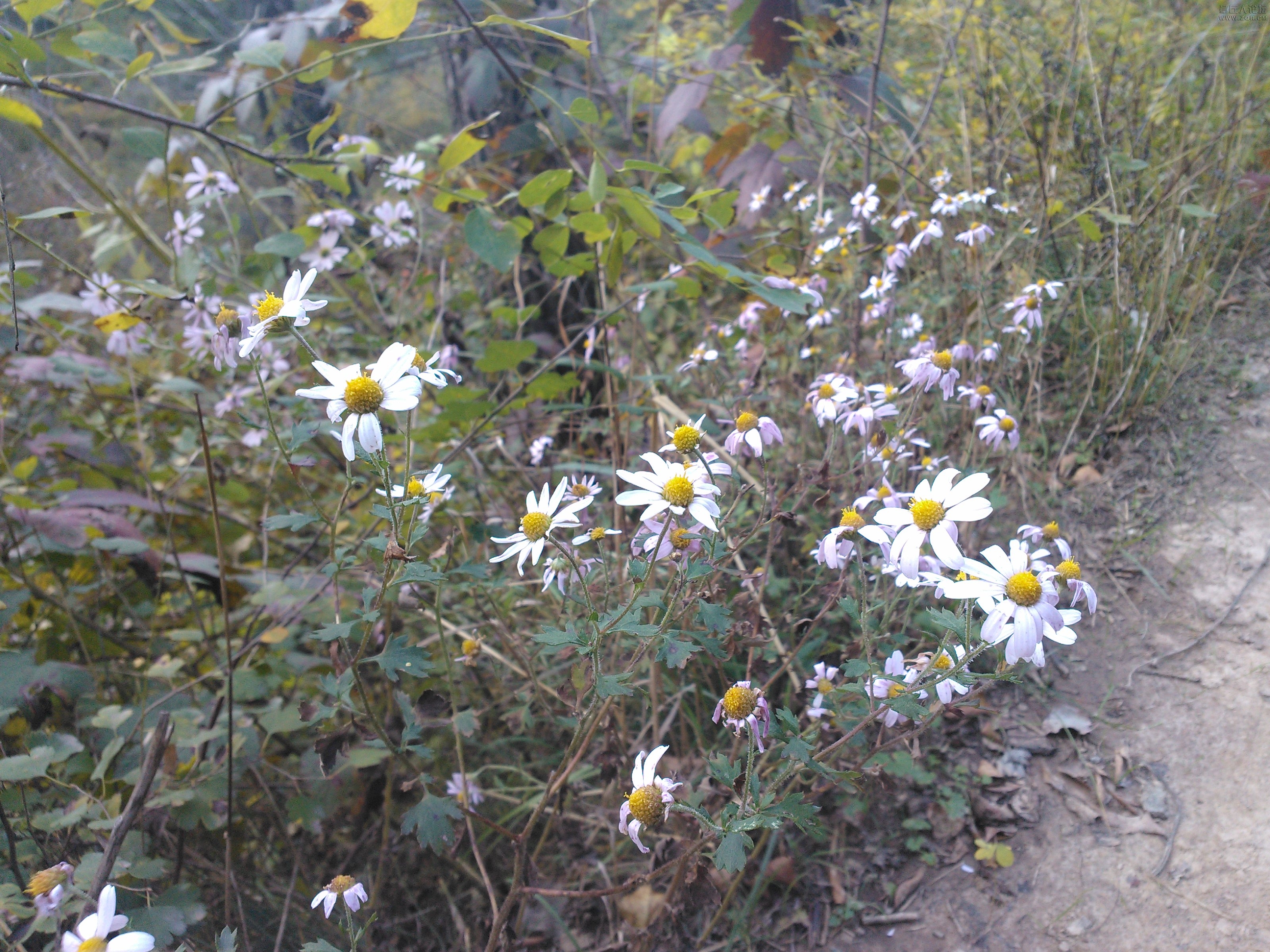 IMG20121003170551.jpg