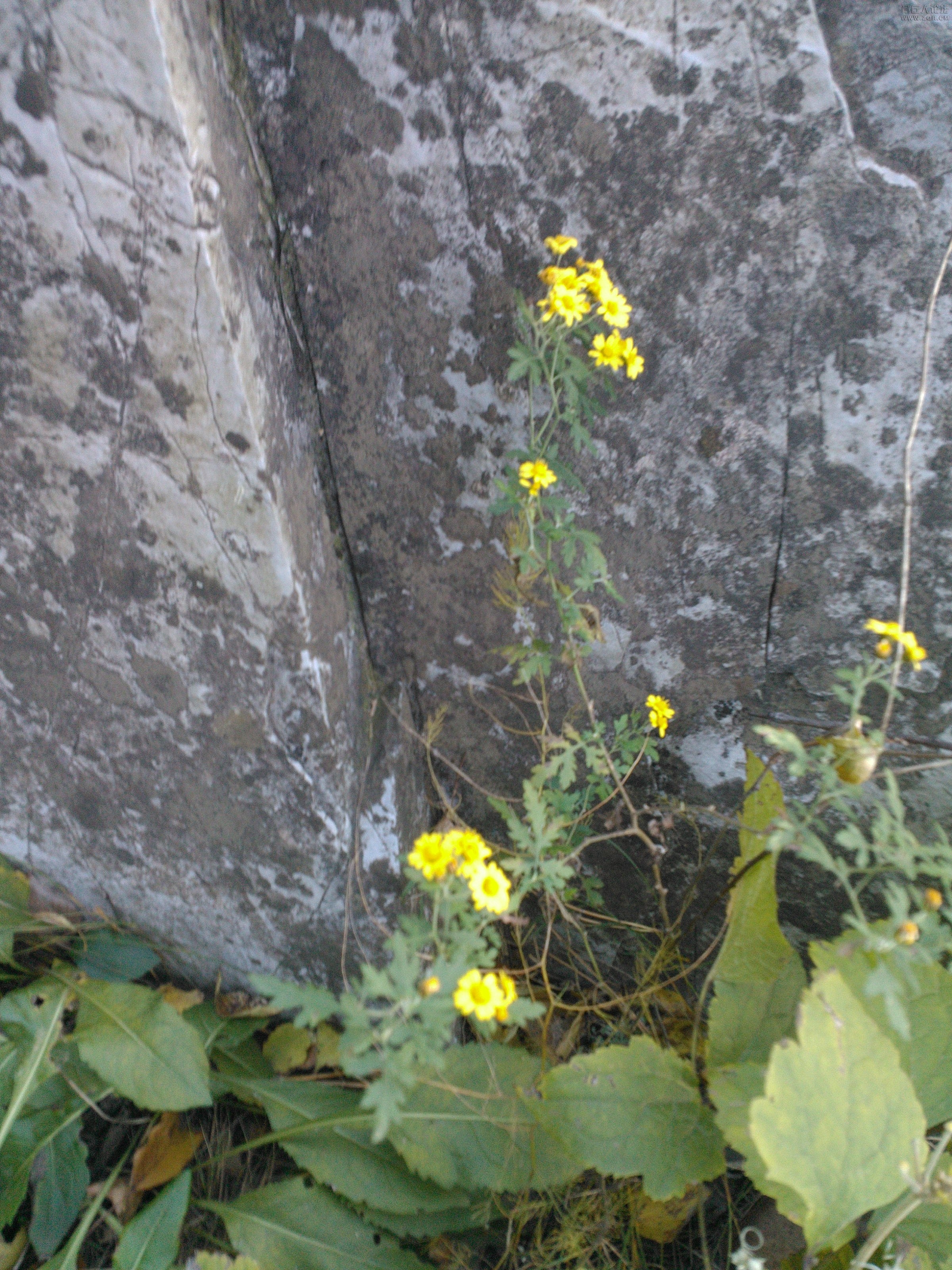 IMG20121003170722.jpg