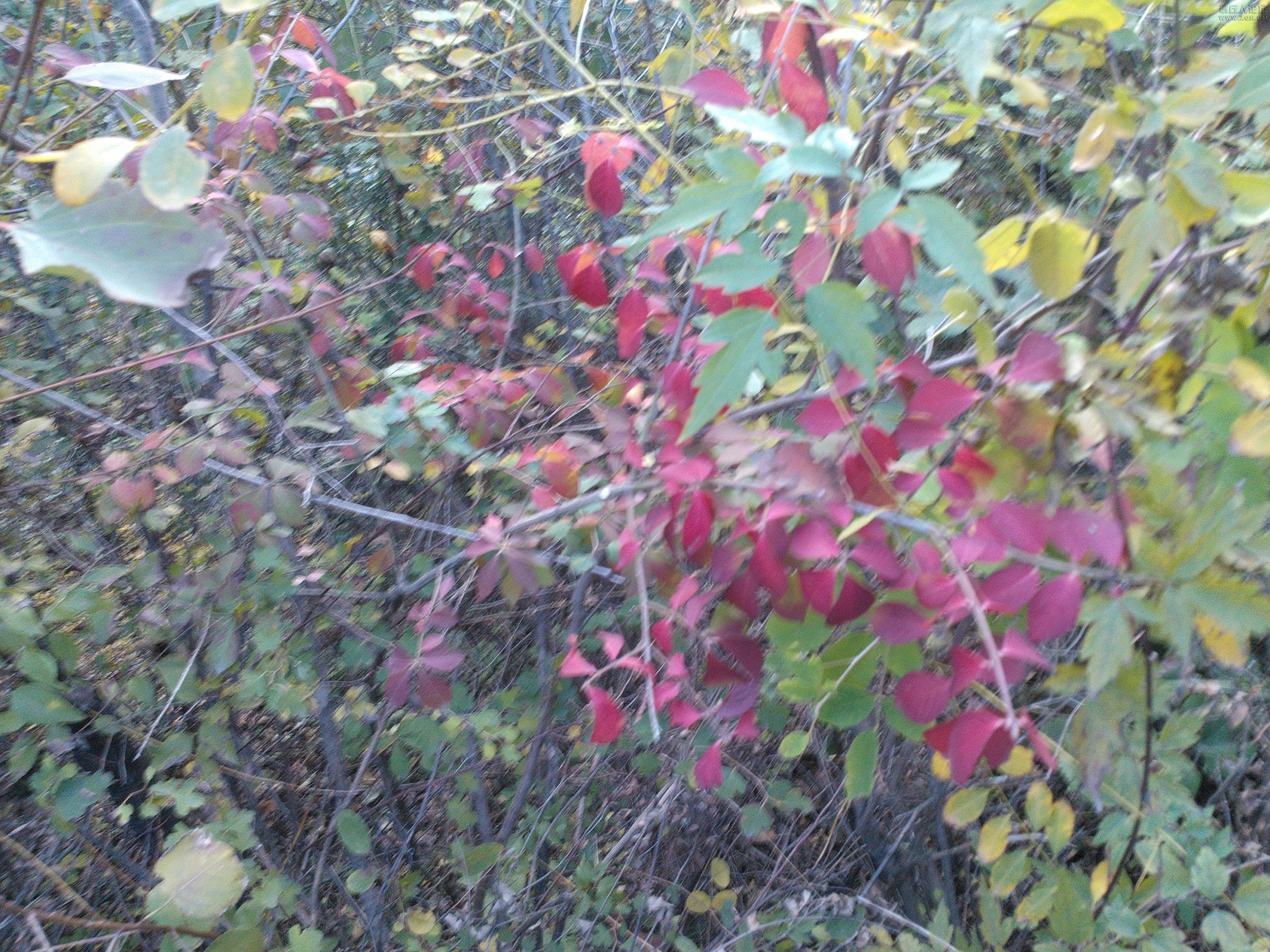 IMG20121003170919.jpg