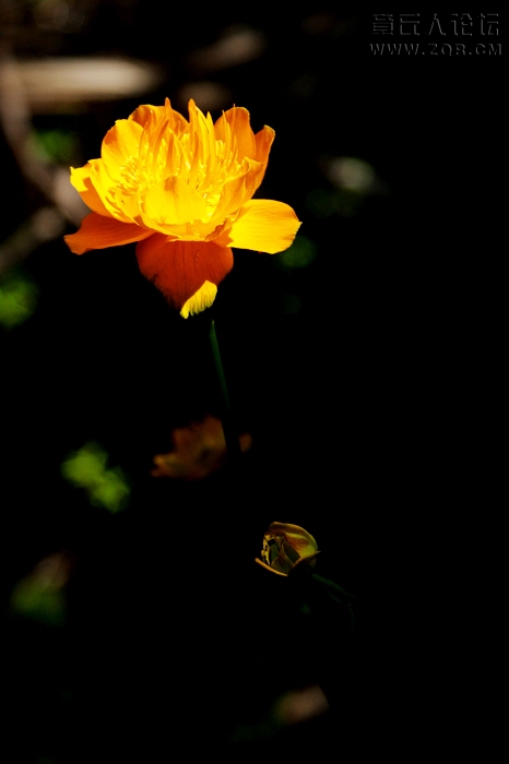 DSC09144.jpg