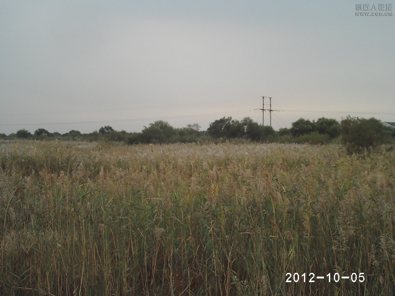 PHTO0164.JPG