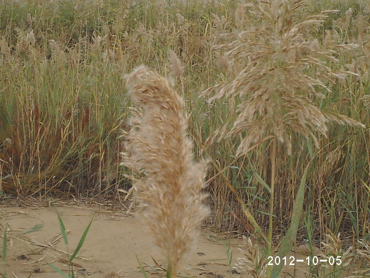 PHTO0166.JPG