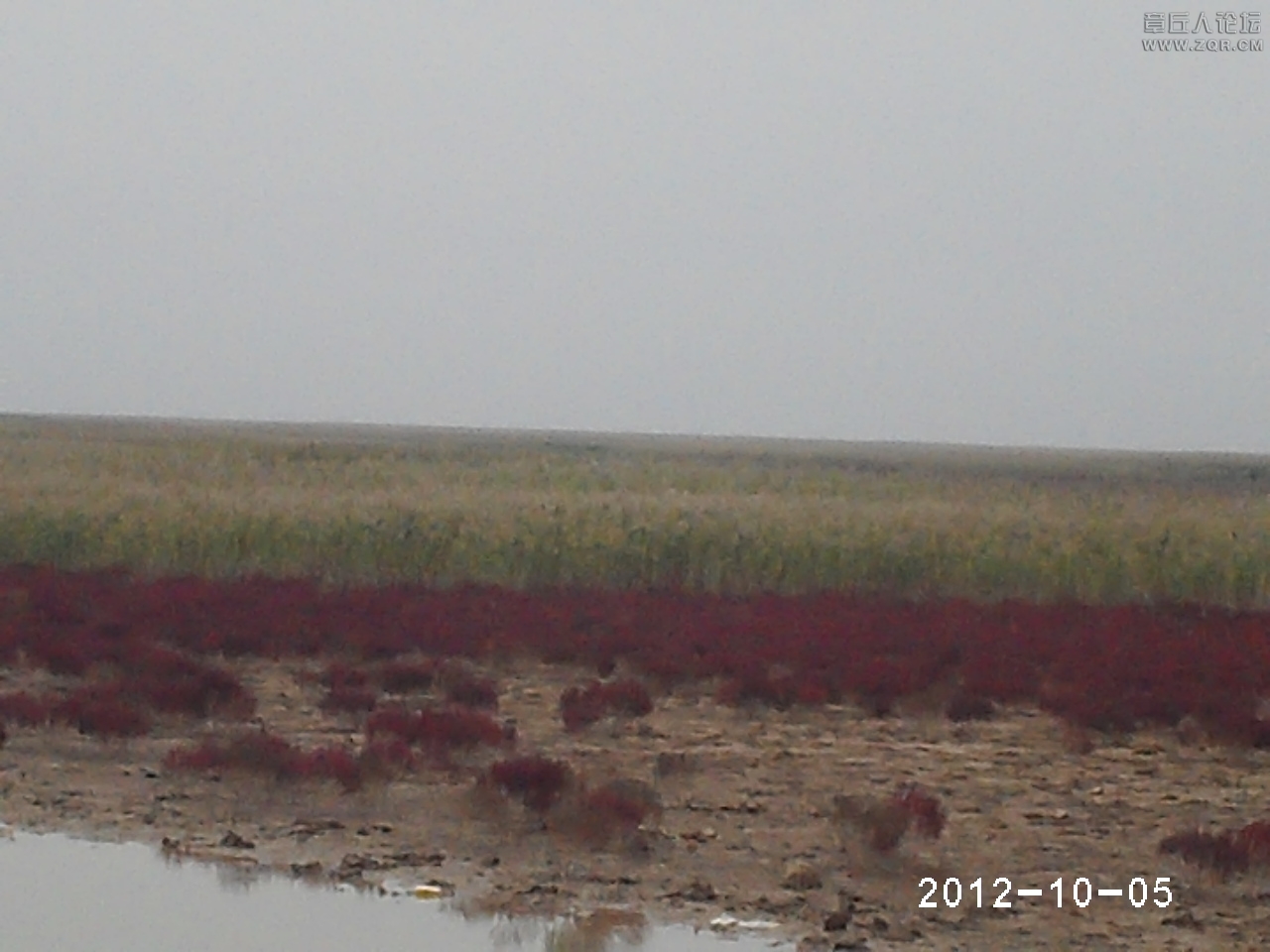 PHTO0168.JPG
